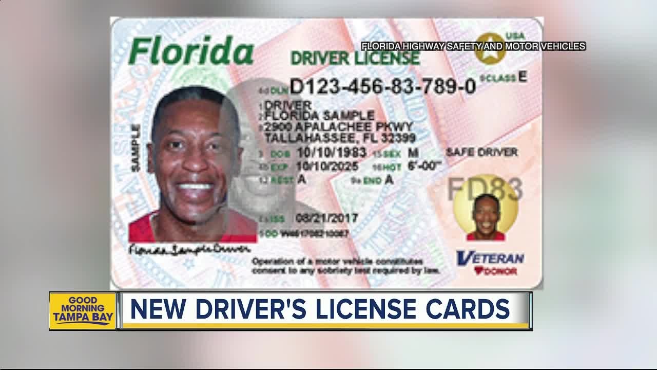dmv florida check license status